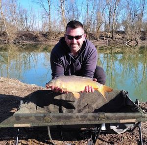 Mirror Carp