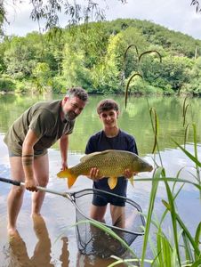 Common Carp