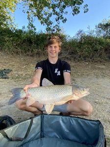 Grass Carp