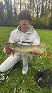 Northern Pike