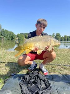 Mirror Carp