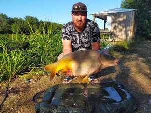 Mirror Carp