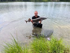Sturgeon