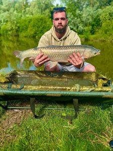 Grass Carp