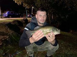 Largemouth Bass