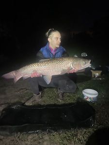 Grass Carp