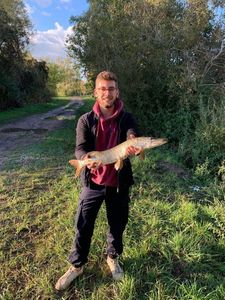 Northern Pike