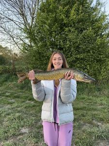 Northern Pike