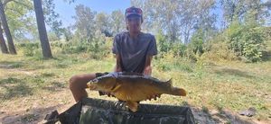 Mirror Carp