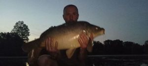 Mirror Carp