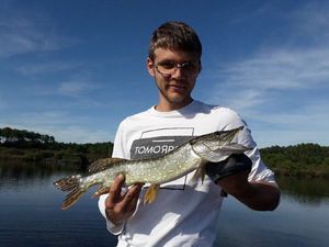 Northern Pike