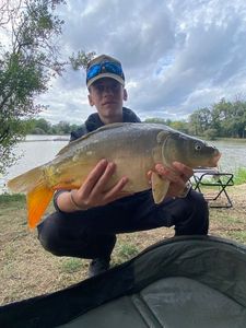 Mirror Carp