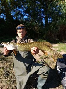 Northern Pike