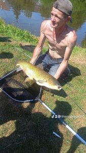 Silver Carp