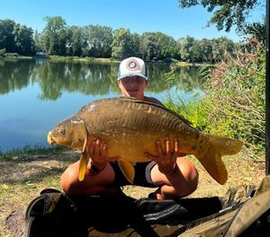 Common Carp