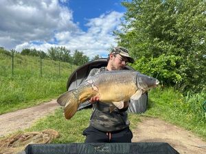 Mirror Carp