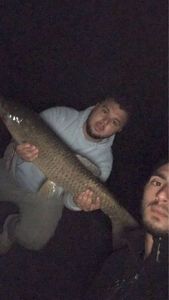 Grass Carp