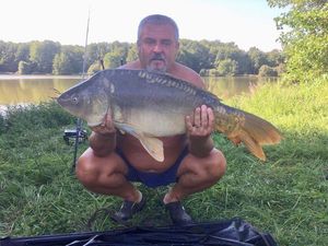 Mirror Carp