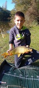 Common Carp