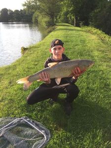 Grass Carp