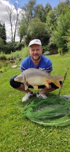Mirror Carp