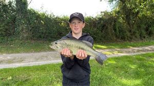 Largemouth Bass