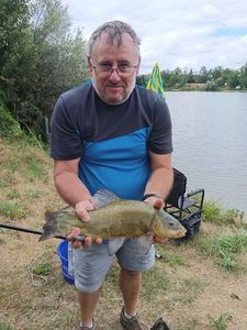 Tench