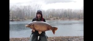 Mirror Carp
