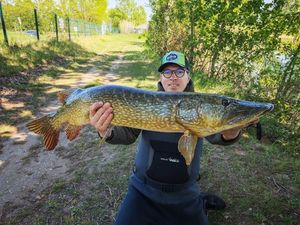 Northern Pike