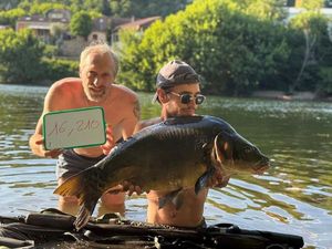 Mirror Carp