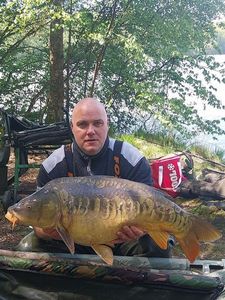 Mirror Carp