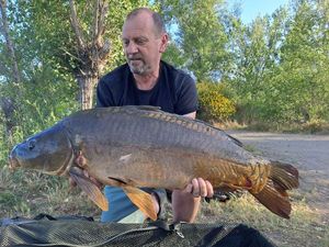 Mirror Carp