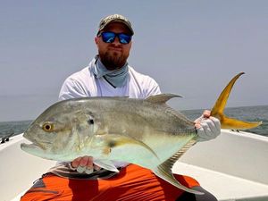 Crevalle Jack