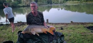 Mirror Carp