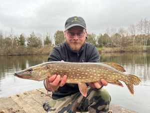 Northern Pike