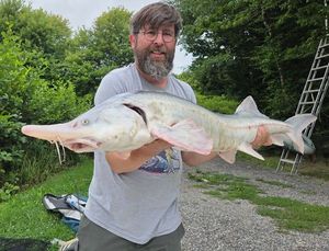 Sturgeon