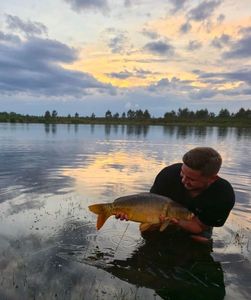 Mirror Carp
