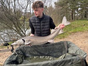 Sturgeon