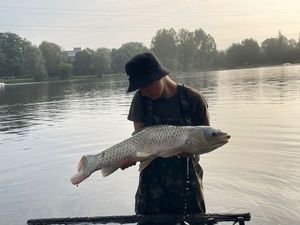 Grass Carp