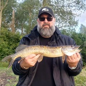 Northern Pike