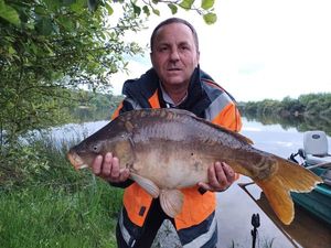 Mirror Carp