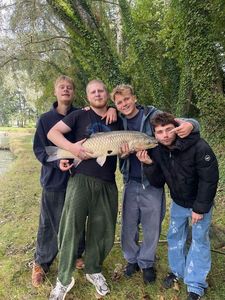 Grass Carp