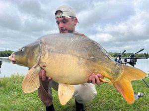 Mirror Carp