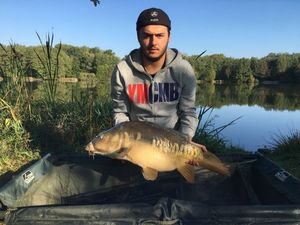 Mirror Carp