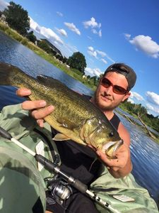 Largemouth Bass