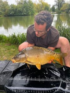 Mirror Carp