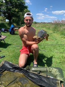 Mirror Carp