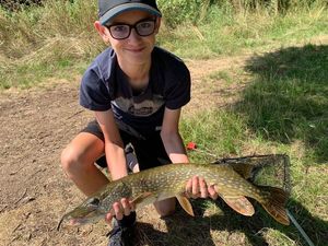 Northern Pike