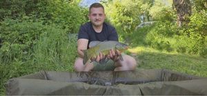 Tench