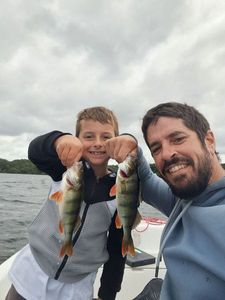 European Perch